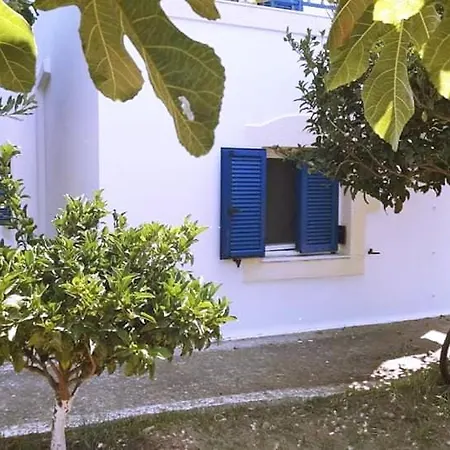 Theofilos Appartements Livadi  Zimmer foto