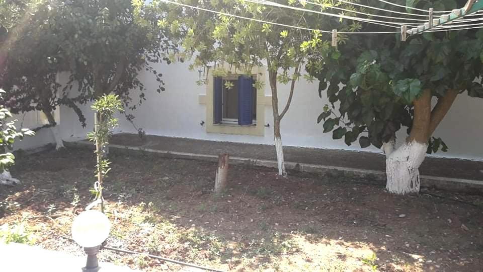 Theofilos