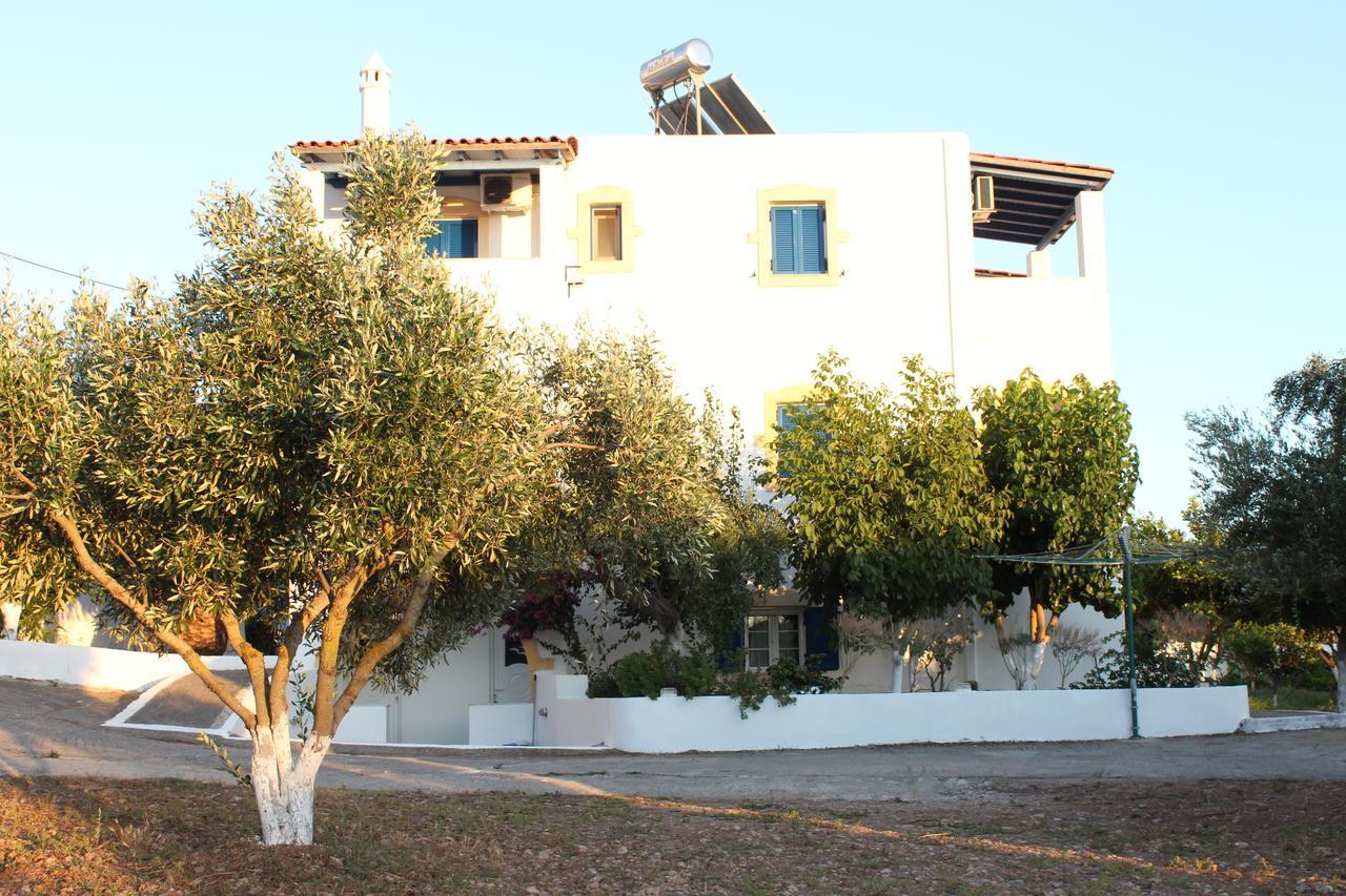 Apartment Theofilos *