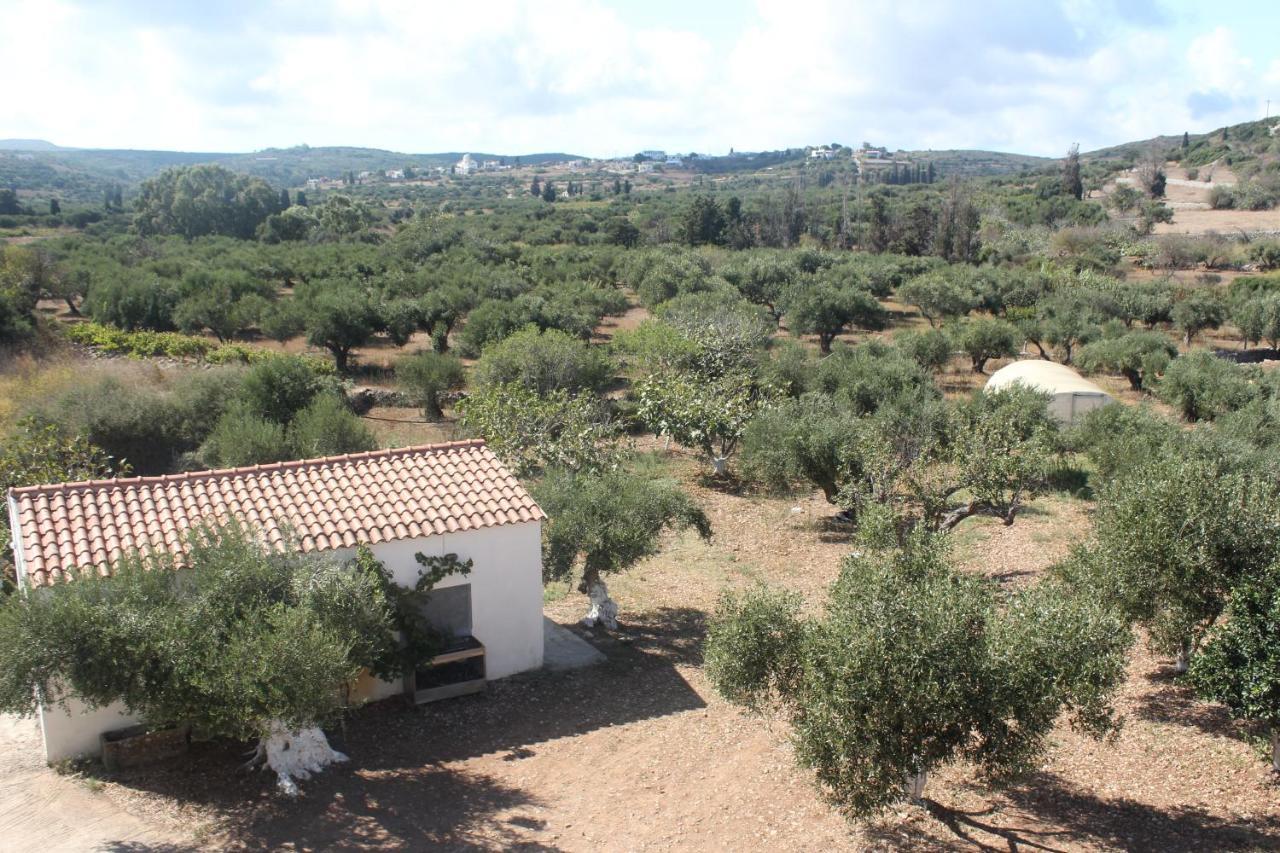 Theofilos Apartament Livadi (Kythira)