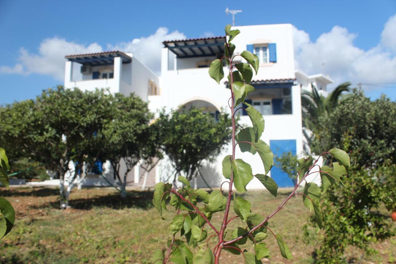 Theofilos Apartment