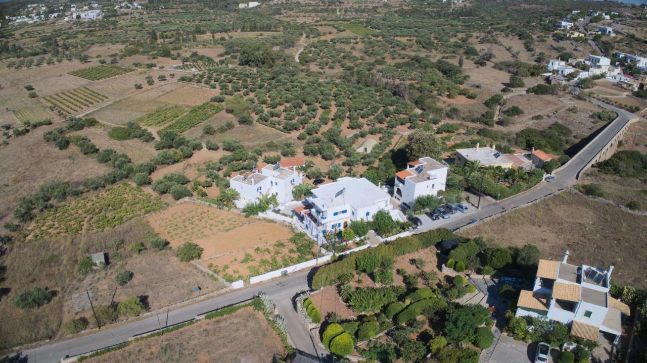 Apartment Theofilos *
