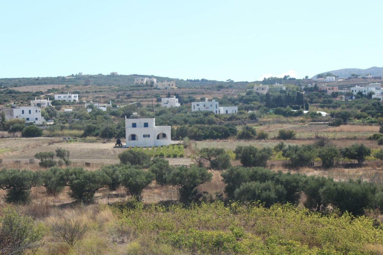 Theofilos Apartment Livadi (Kythira)